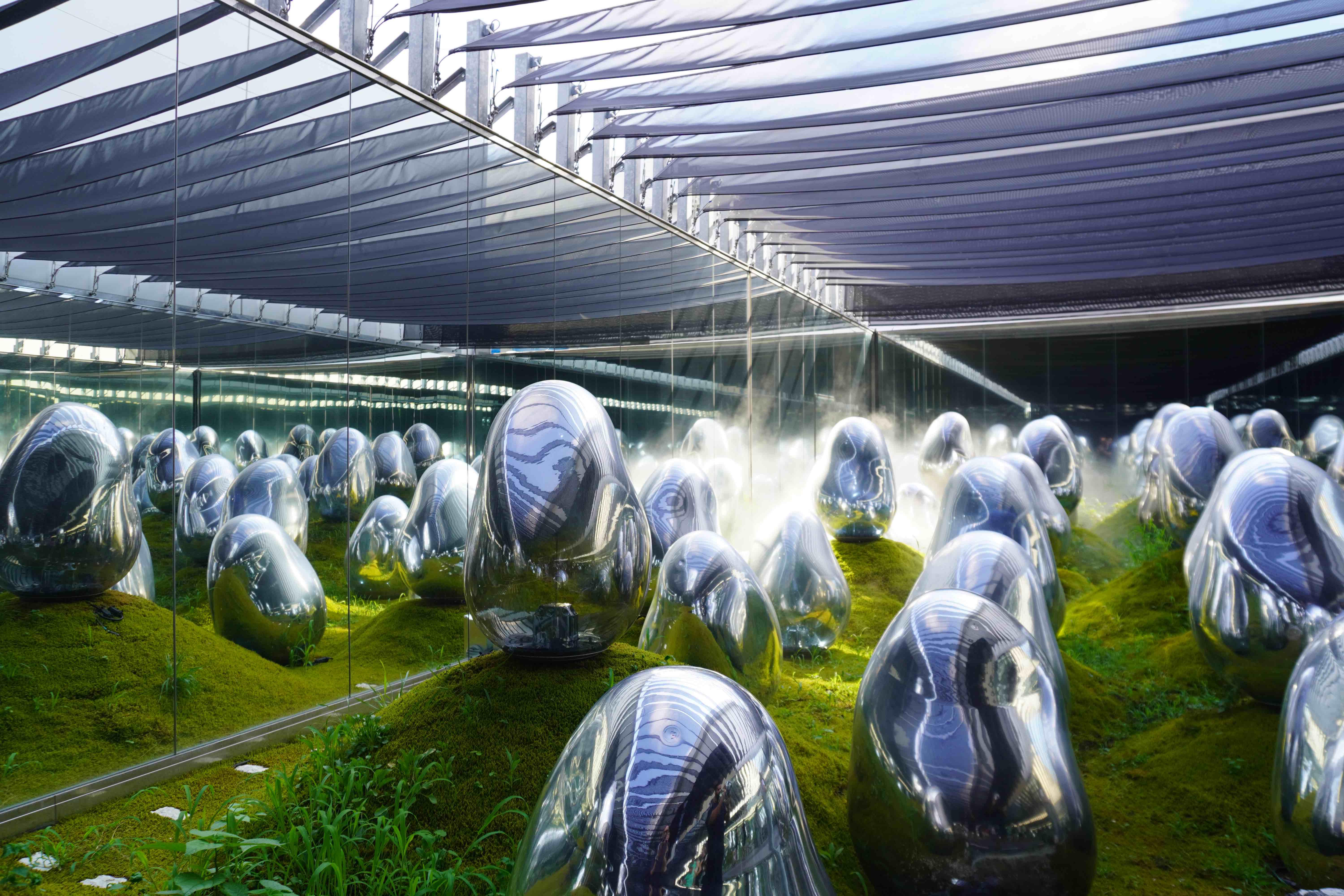 Weird bulbs like growths on the ground at teamLabs Japan.