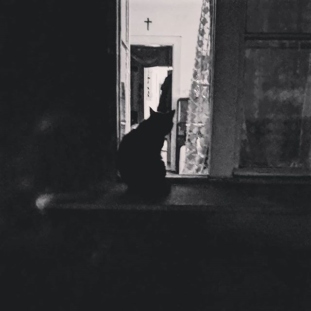 Dark image of the shape of a cat on a windowsill, with a crucifix hanging in the background interior.
