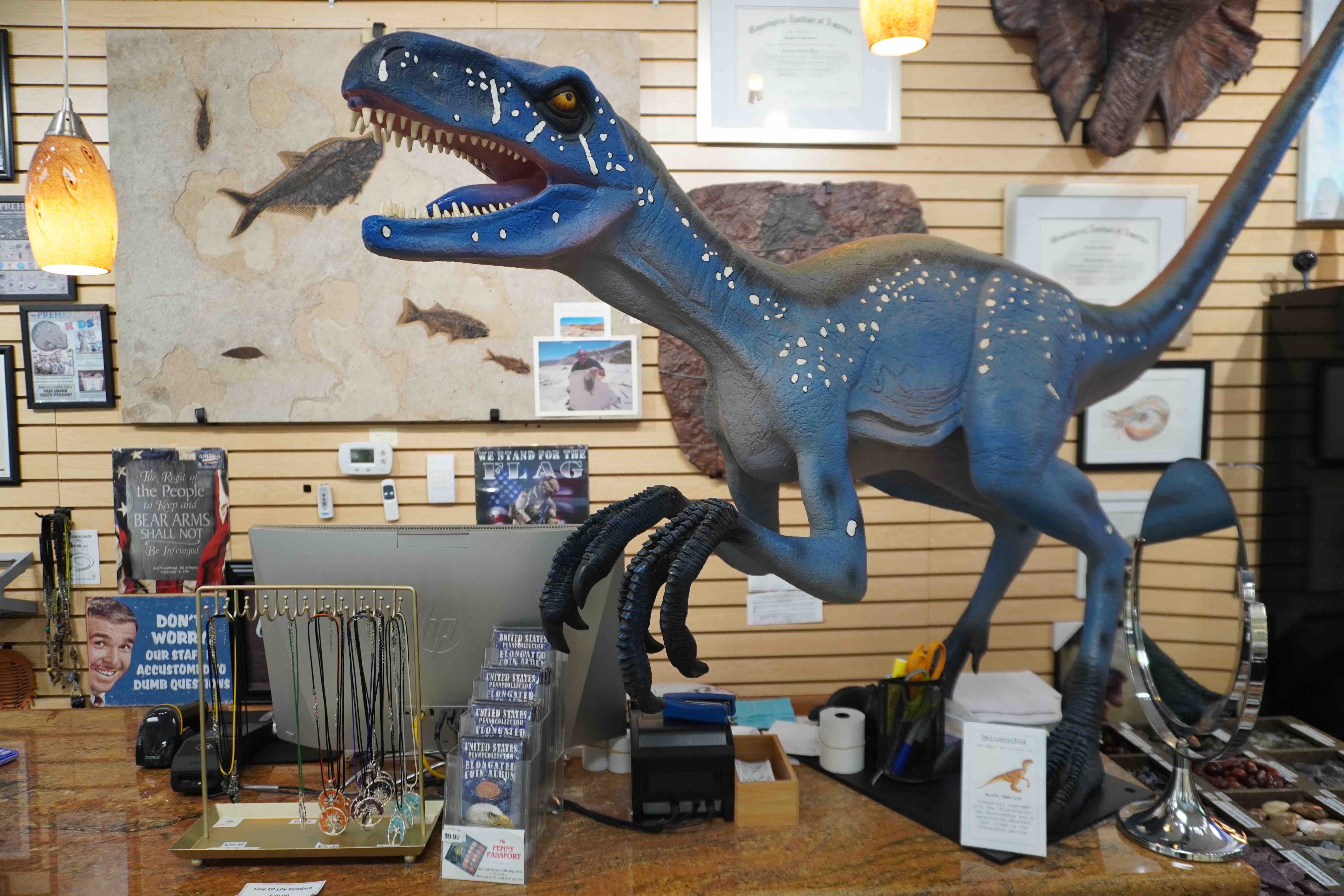 A sign that says Off Limits foregrounding an increasingly dark and wooded area.