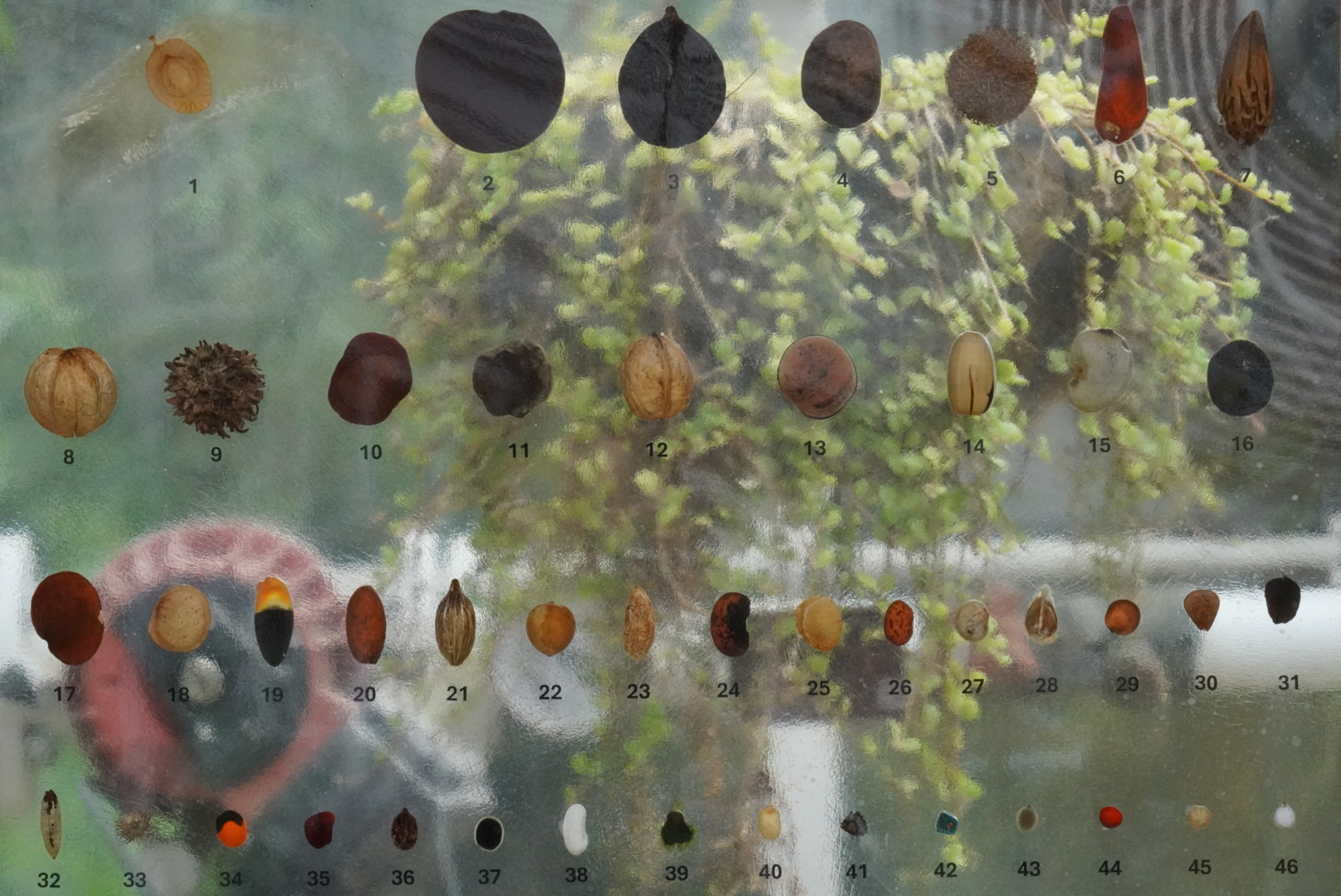 Beckoning cats out of focus on an apartment terrance from below at night.